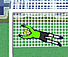Penalty Fever